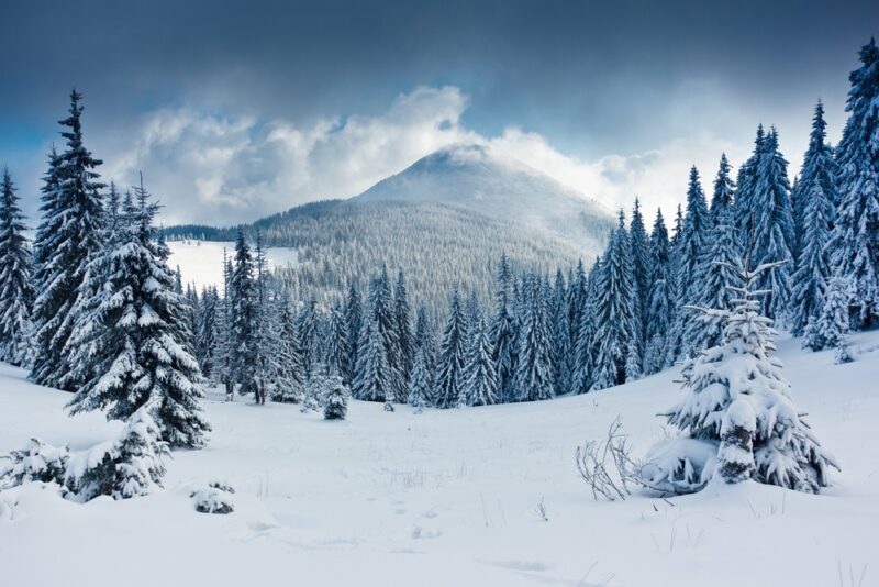 shutterstock_98058872